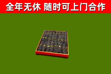 山东省回收海参